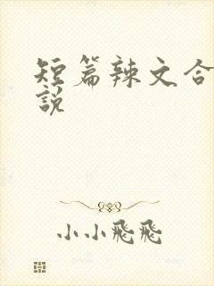 短篇辣文合集小说