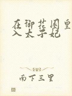 在御花园皇上进入太子妃封面