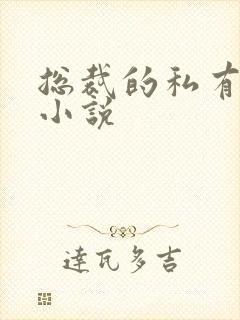 总裁的私有宝贝小说