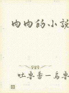 肉肉的小说