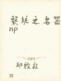 系统之名器攻略np