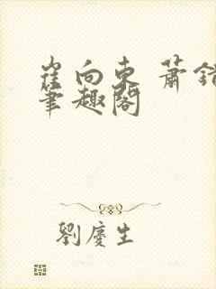 崔向东 萧错 笔趣阁