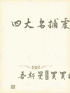 四大名捕震关东