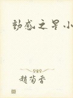 动感之星小蝶封面