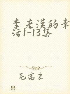 李老汉的幸福生活1-13集