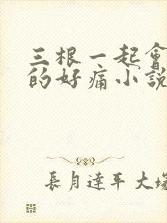 三根一起会坏掉的好痛小说