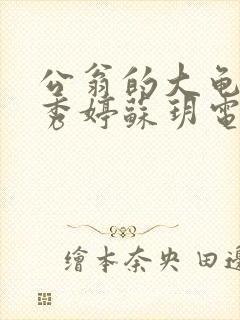 公翁的大龟挺进秀婷苏玥电影