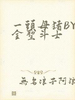 一头母猪BY黄金圣斗士