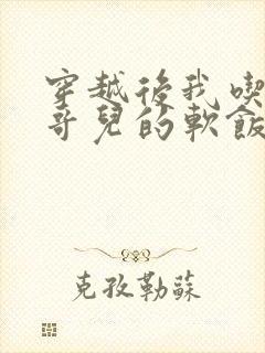 穿越后我吃到了哥儿的软饭炉山灰