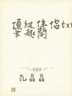 顶级伴侣txt笔趣阁