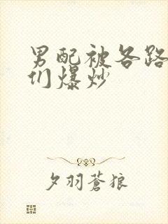 男配被各路大佬们爆炒