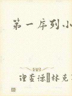 第一序列小说封面