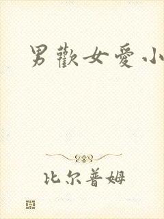 男欢女爱小说
