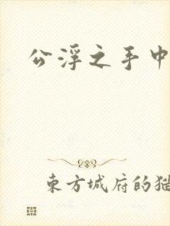 公浮之手中字5封面