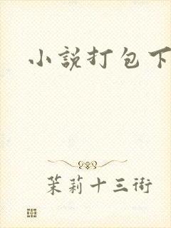 小说打包下载