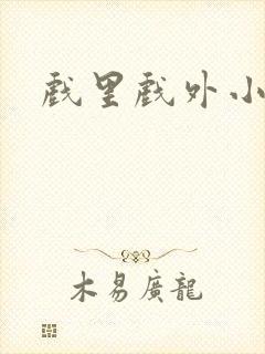 戏里戏外小说封面