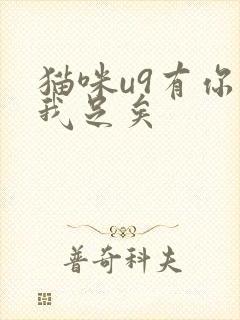 猫咪u9有你有我足矣封面