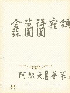 含苞待宠镇国公苏圆圆