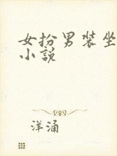 女扮男装坐江山小说