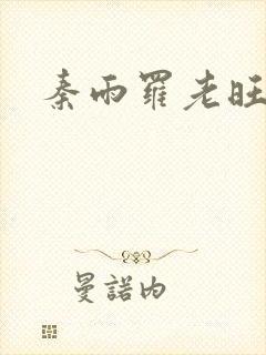 秦雨罗老旺封面