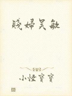 贱妇吴敏封面