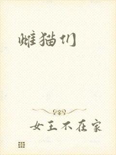 雌猫们封面