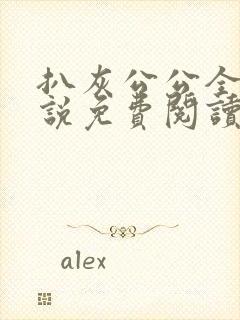 扒灰公公全部小说免费阅读全文封面