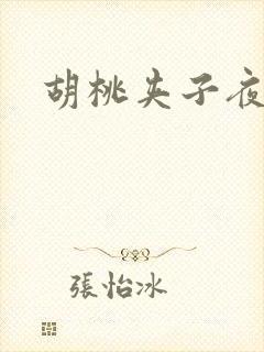 胡桃夹子夜未眠