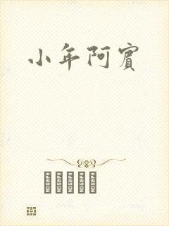小年阿宾封面