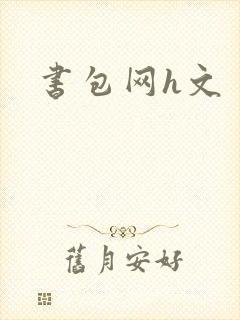 书包网h文
