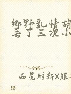 乡野乱情胡秀英丢了三次小说
