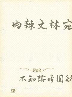 肉辣文林宛宛封面