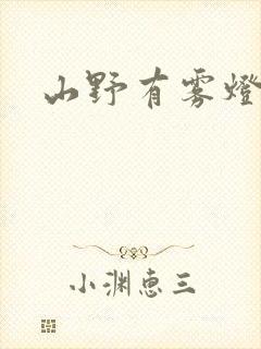 山野有雾灯封面