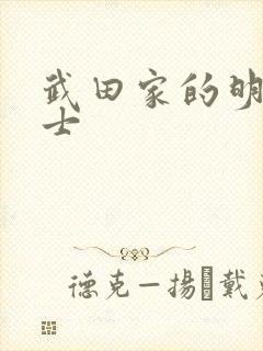 武田家的明国武士