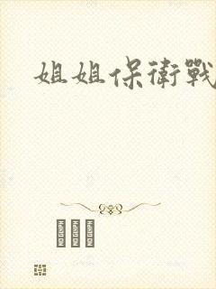 姐姐保卫战封面