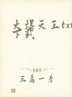 火爆天王txt下载