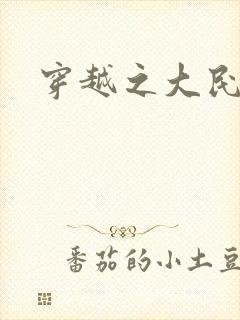 穿越之大民国封面