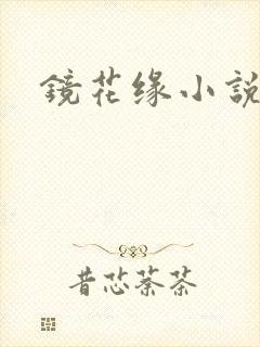 镜花缘小说