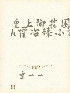 皇上御花园hlh霍冶臻小说