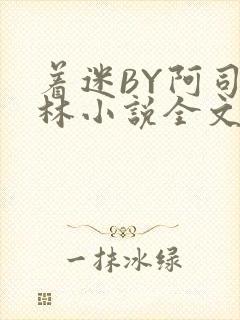 着迷BY阿司匹林小说全文免费阅读