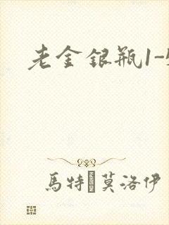 老金银瓶1-5
