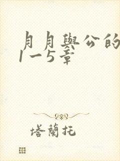 月月与公的激情1一5章
