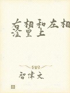 右相和左相一起淦皇上