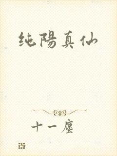 纯阳真仙