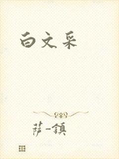 白文采