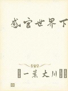 感官世界下载