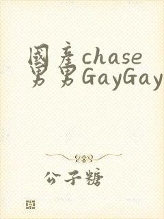 国产chase男男GayGay