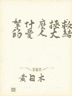 拿什么拯救你我的爱人大结局封面