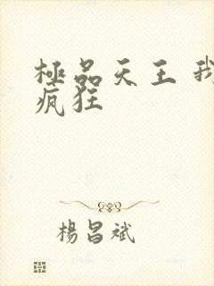 极品天王 我本疯狂封面