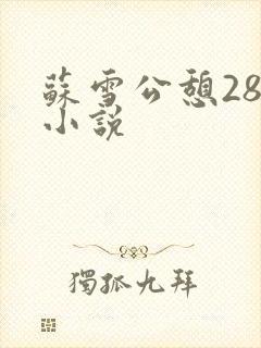 苏雪公憩28篇小说